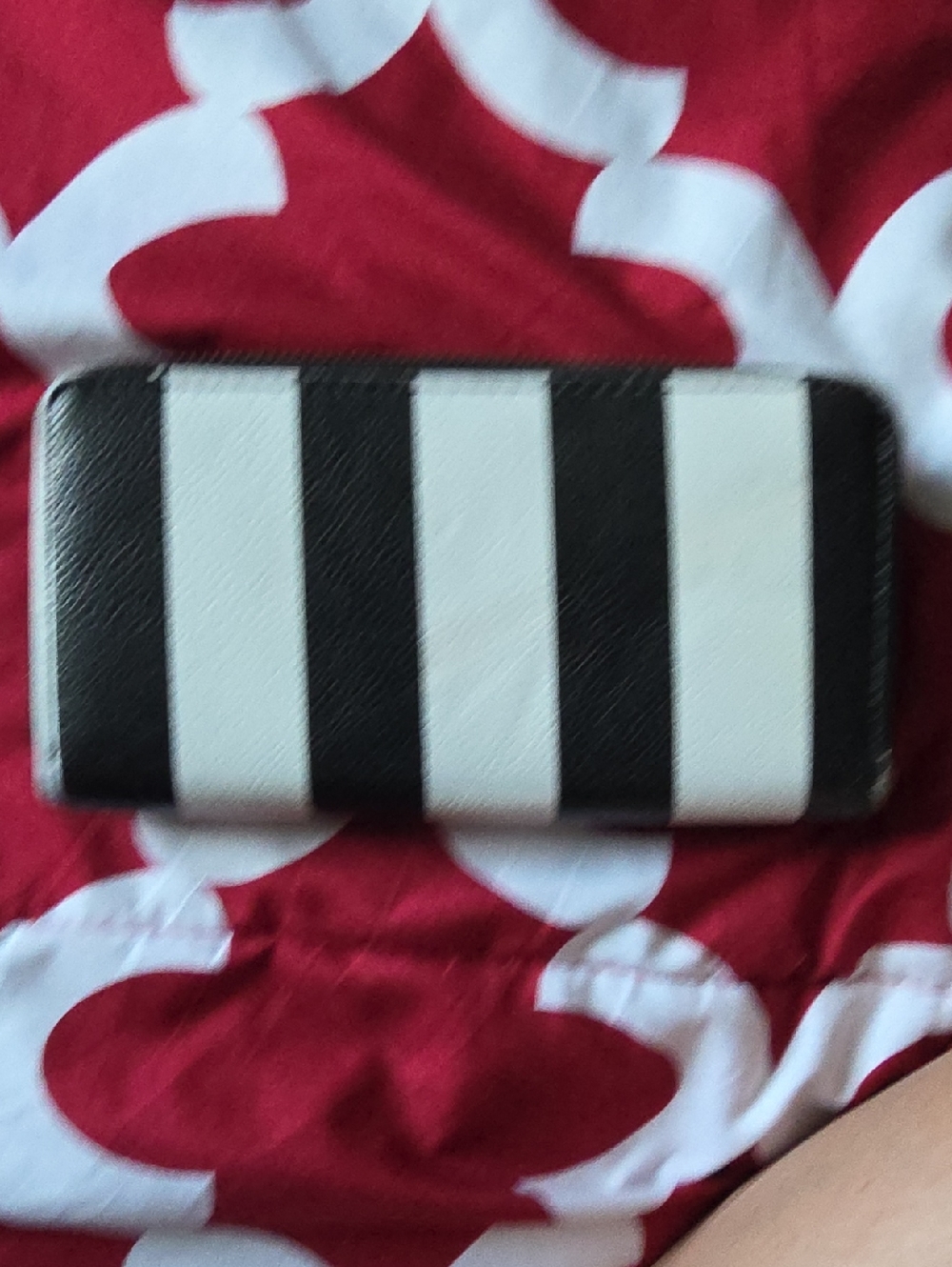 Free Black and White Striped Zip Wallet